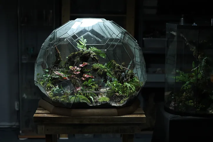 terrarium casing3