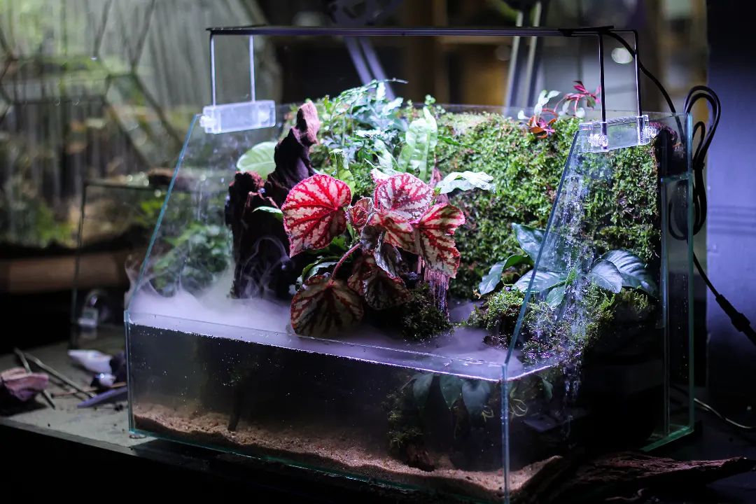 vivarium